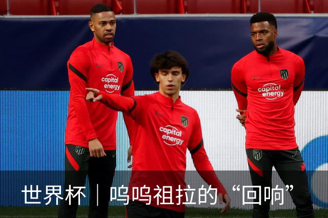 世界杯｜呜呜祖拉的“回响”